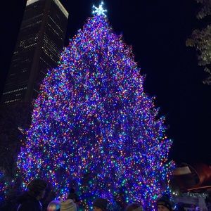 Meet your Posher, Marely